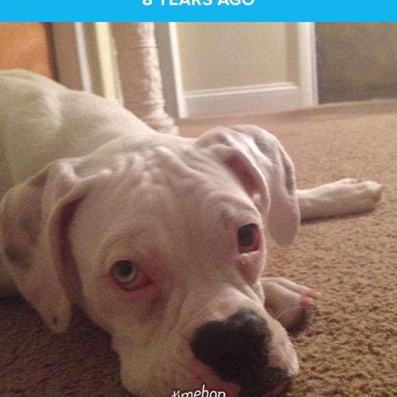 Meet your Posher, Michael - Picture 1 of 1